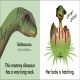Baby Touch and Feel Baby Dinosaur Preview 1