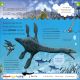 My Encyclopedia of Very Important Dinosaurs Preview 2