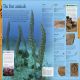 Dinosaurs: A Visual Encyclopedia Preview 1