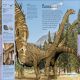 Dinosaurs: A Visual Encyclopedia Preview 3