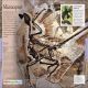 Dinosaurs: A Visual Encyclopedia Preview 4