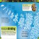 The Bacteria Book Preview 2