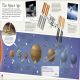 Children's Illustrated History Atlas Preview 4