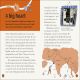 DK Life Stories: Gandhi Preview 2