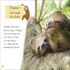 DK Readers Level 2: Sloths Preview 2