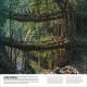 Our World in Pictures: Trees, Leaves, Flowers & Seeds Preview 1