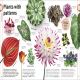 Our World in Pictures: Trees, Leaves, Flowers & Seeds Preview 2