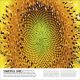 Our World in Pictures: Trees, Leaves, Flowers & Seeds Preview 3