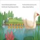 The Ugly Duckling Preview 1