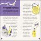 DK Life Stories Ada Lovelace Preview 3