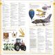 Merriam-Webster Children's Dictionary Preview 3