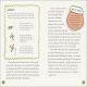DK Life Stories Amelia Earhart Preview 1
