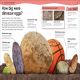 Did You Know? Dinosaurs Preview 1