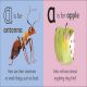 A is for Ant Preview 2