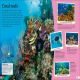 DKfindout! Oceans Preview 3