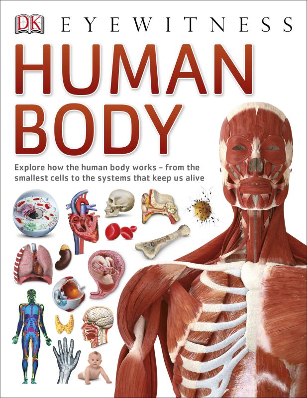 Human Body cover