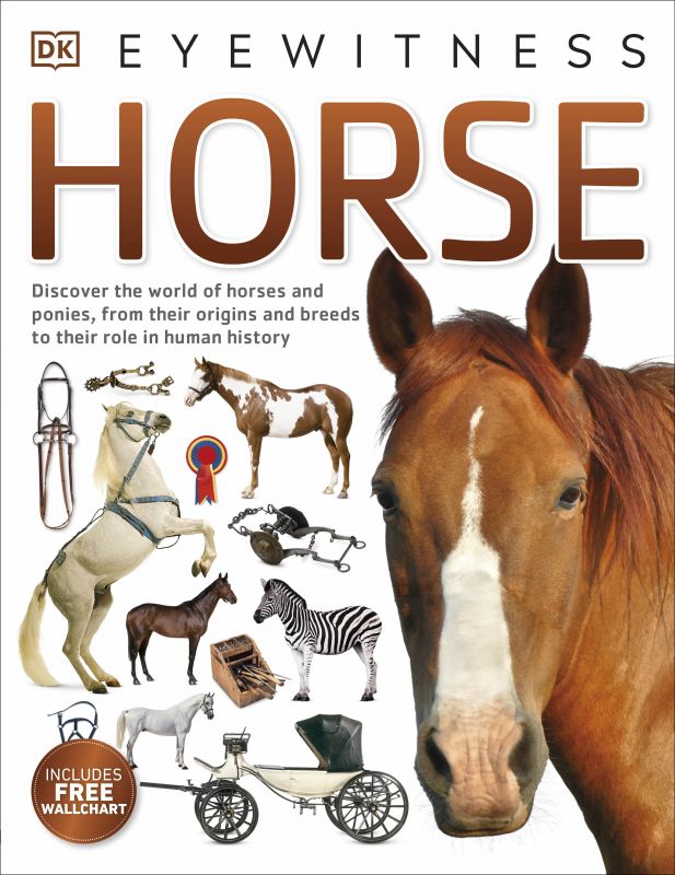 Horse cover