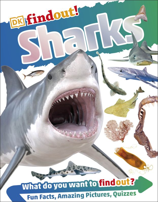 DKfindout! Sharks cover