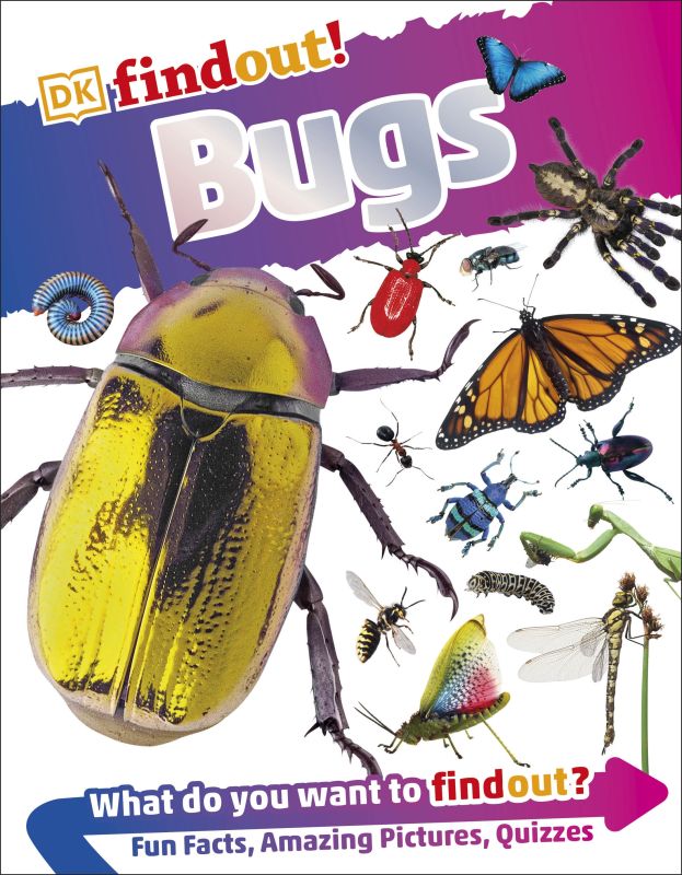 DKfindout! Bugs cover