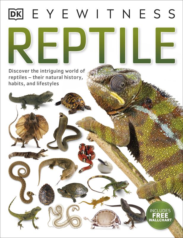Reptile cover