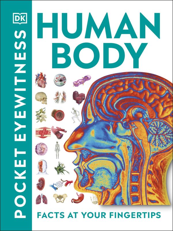 Pocket Eyewitness Human Body cover