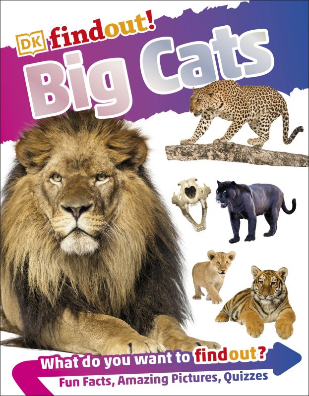 DKfindout! Big Cats cover