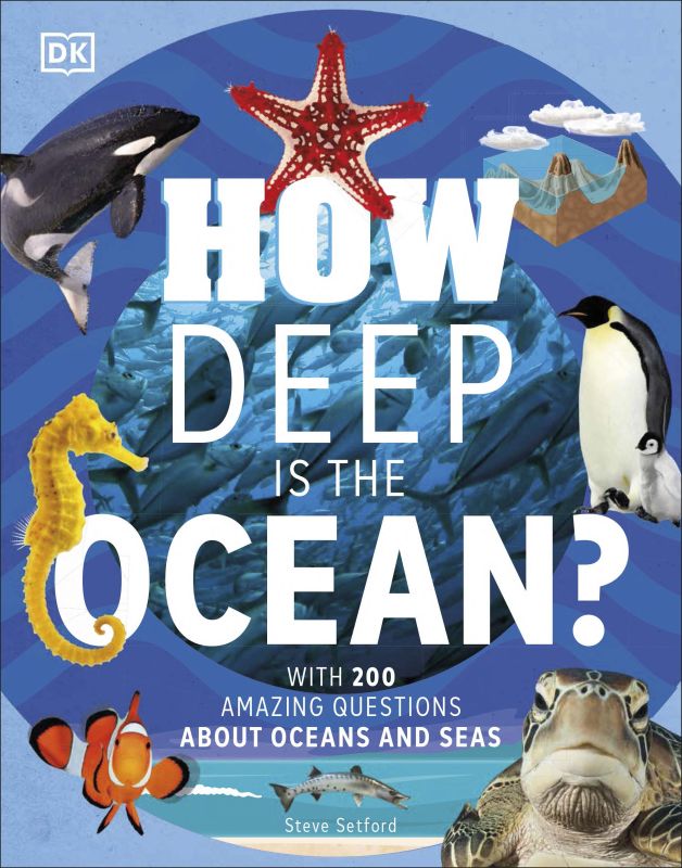 How Deep is the Ocean? cover