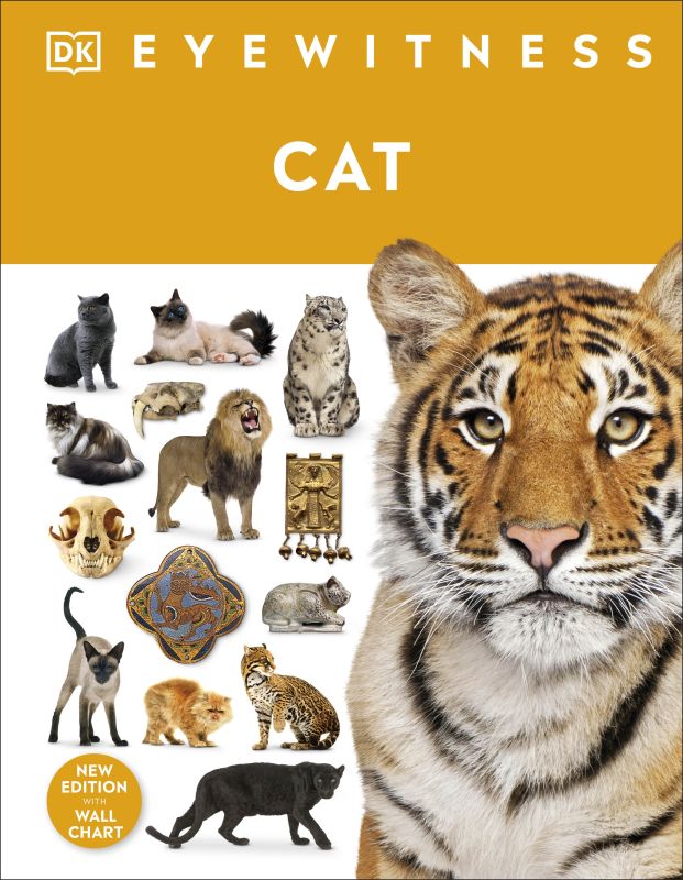 Cat cover