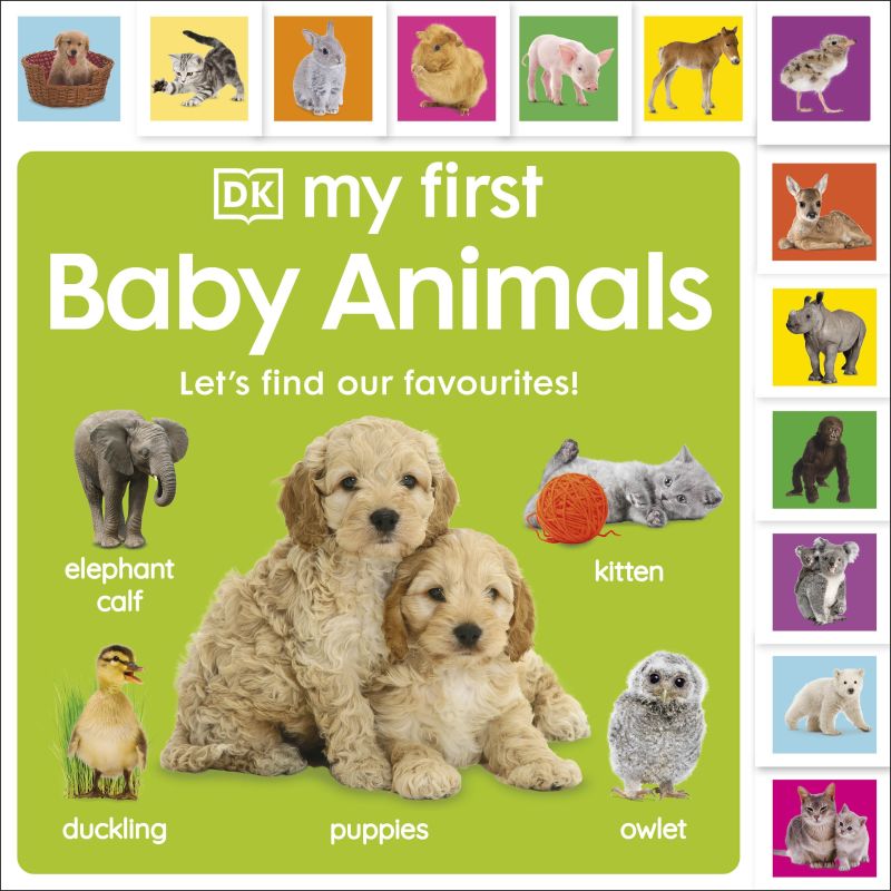 My First Baby Animals: Let's Find Our Favourites! cover