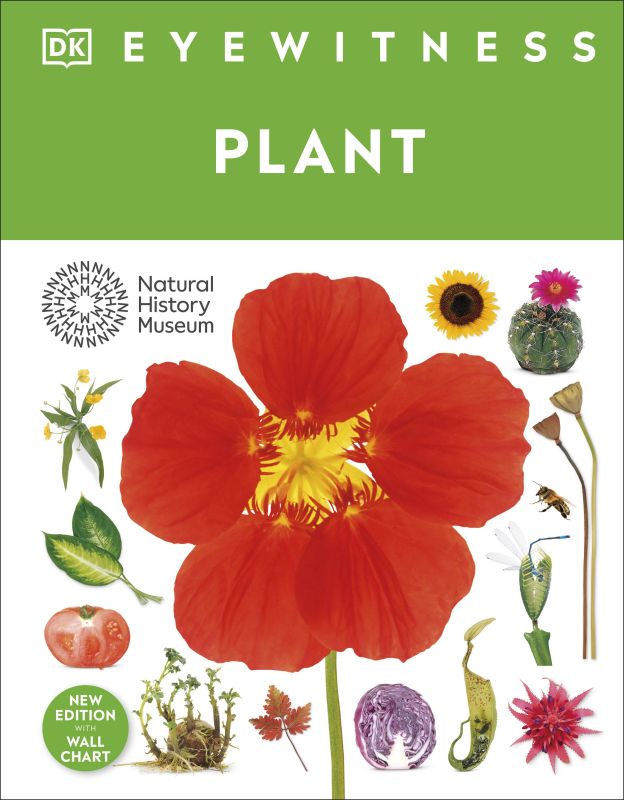 Eyewitness Plant cover