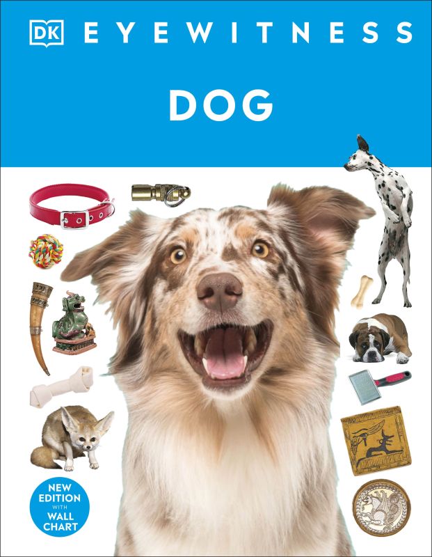 Eyewitness Dog cover