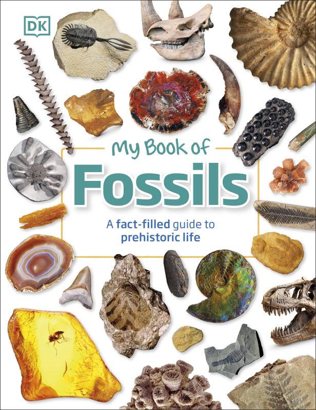 My Book of Fossils cover