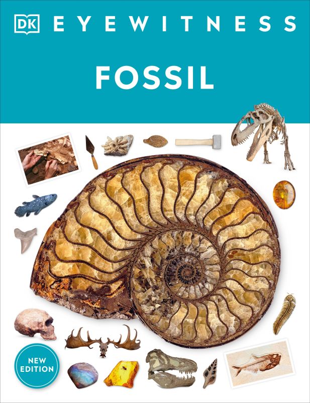 Fossil cover