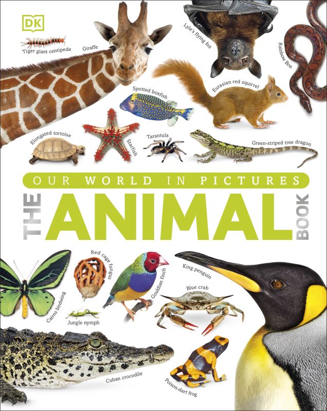 Our World in Pictures The Animal Book cover