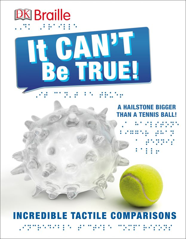 DK Braille: It Can't Be True cover