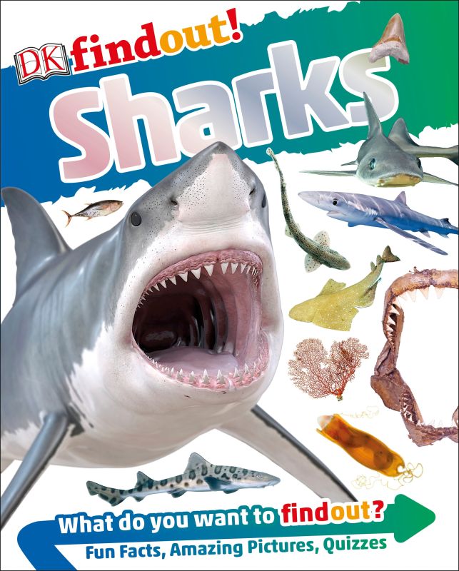 DKfindout! Sharks cover