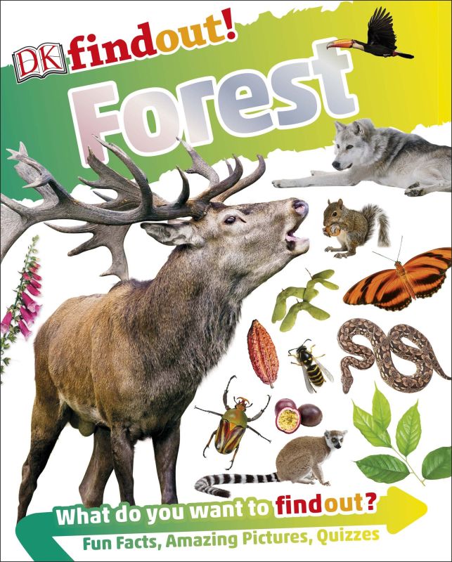 DKfindout! Forest cover