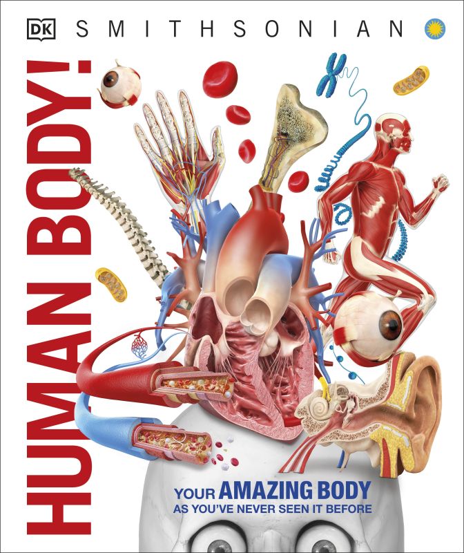  Knowledge Encyclopedia Human Body! cover
