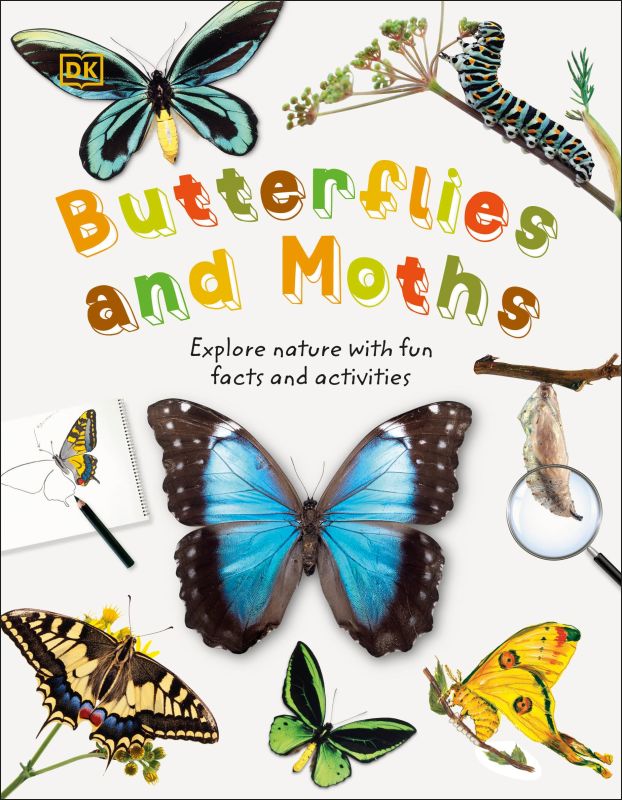 Butterflies and Moths cover