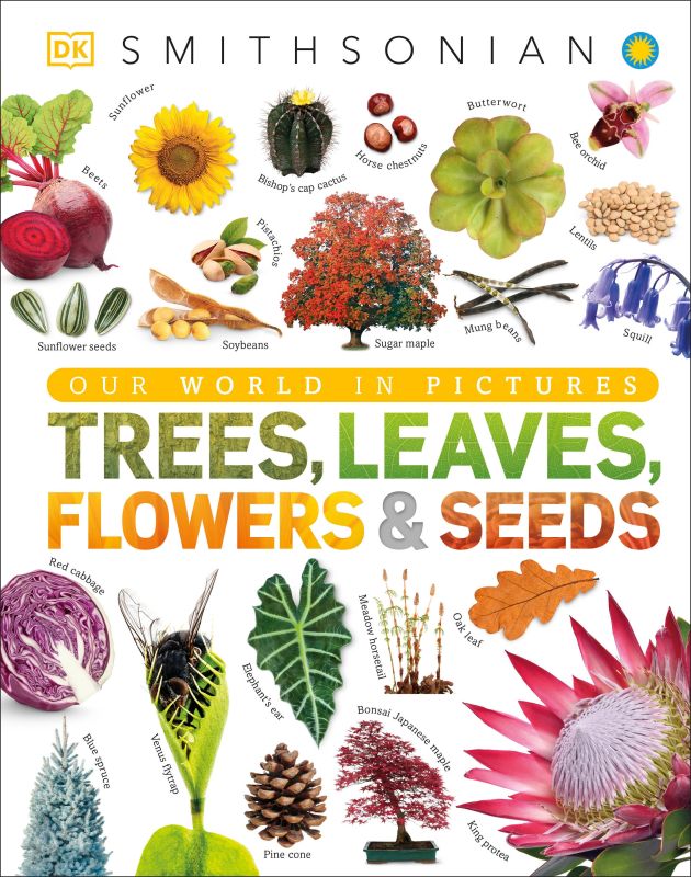 Our World in Pictures: Trees, Leaves, Flowers & Seeds cover