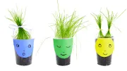 2-Step Science Project for Kids: Grass Haircuts