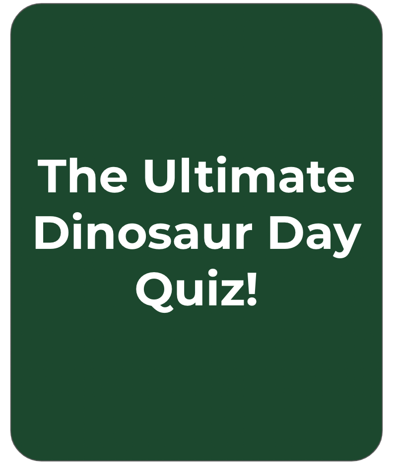 Test your Dinosaur Knowledge