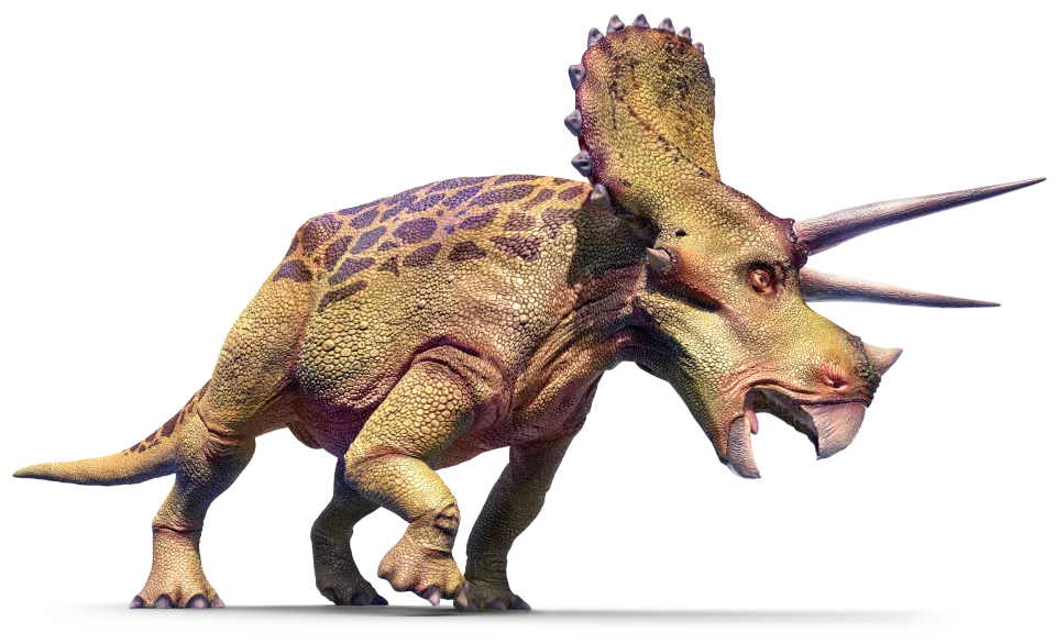 DK Dinosaur Day - DK Findout Quiz - True or False Dinosaurs