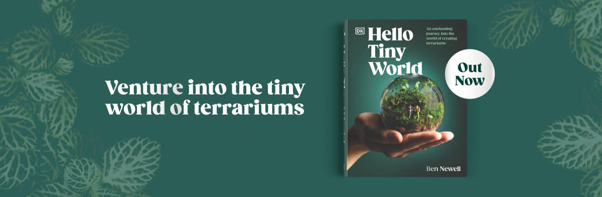 DK Book Hello Tiny World