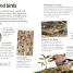 Birds - thumbnail of spread image 1 Thumbnail image of Birds - 1