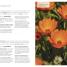 Essential Oils - thumbnail of spread image 1 Thumbnail image of Essential Oils - 1