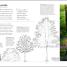 RHS How to Create your Garden - thumbnail of spread image 1 Thumbnail image of RHS How to Create your Garden - 1
