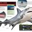 SuperShark - thumbnail of spread image 1 Thumbnail image of SuperShark - 1