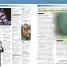 Essential Shakespeare Handbook - thumbnail of spread image 1 Thumbnail image of Essential Shakespeare Handbook - 1