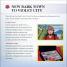 Pokémon Johto Region Field Guide - thumbnail of spread image 1 Thumbnail image of Pokémon Johto Region Field Guide - 1